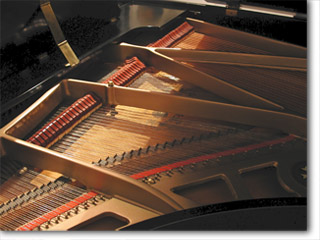 Chickering soundboard and harp